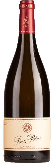 van volxem pinot balnc barrique