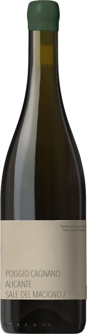 Poggio cagnano sale del macigno