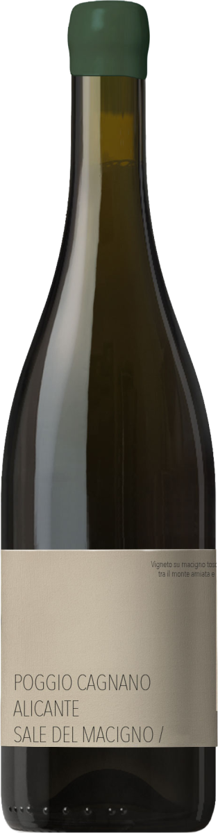 Poggio cagnano sale del macigno
